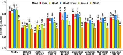 Genomic Selection for Wheat Blast in a Diversity Panel, Breeding Panel and Full-Sibs Panel